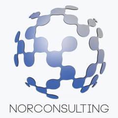 NORCONSULTING Global Recruitment