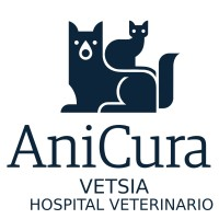 AniCura Vetsia Hospital Veterinario