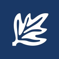 ALZA Obras y Servicios