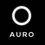 AURO NEW TRANSPORT CONCEPT SL.