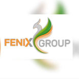 FENIX SERVICIOS PROFESIONALES SOCIEDAD LIMITADA.