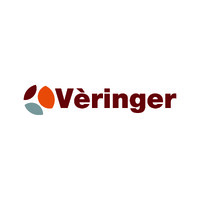 VERINGER ENGINEERING